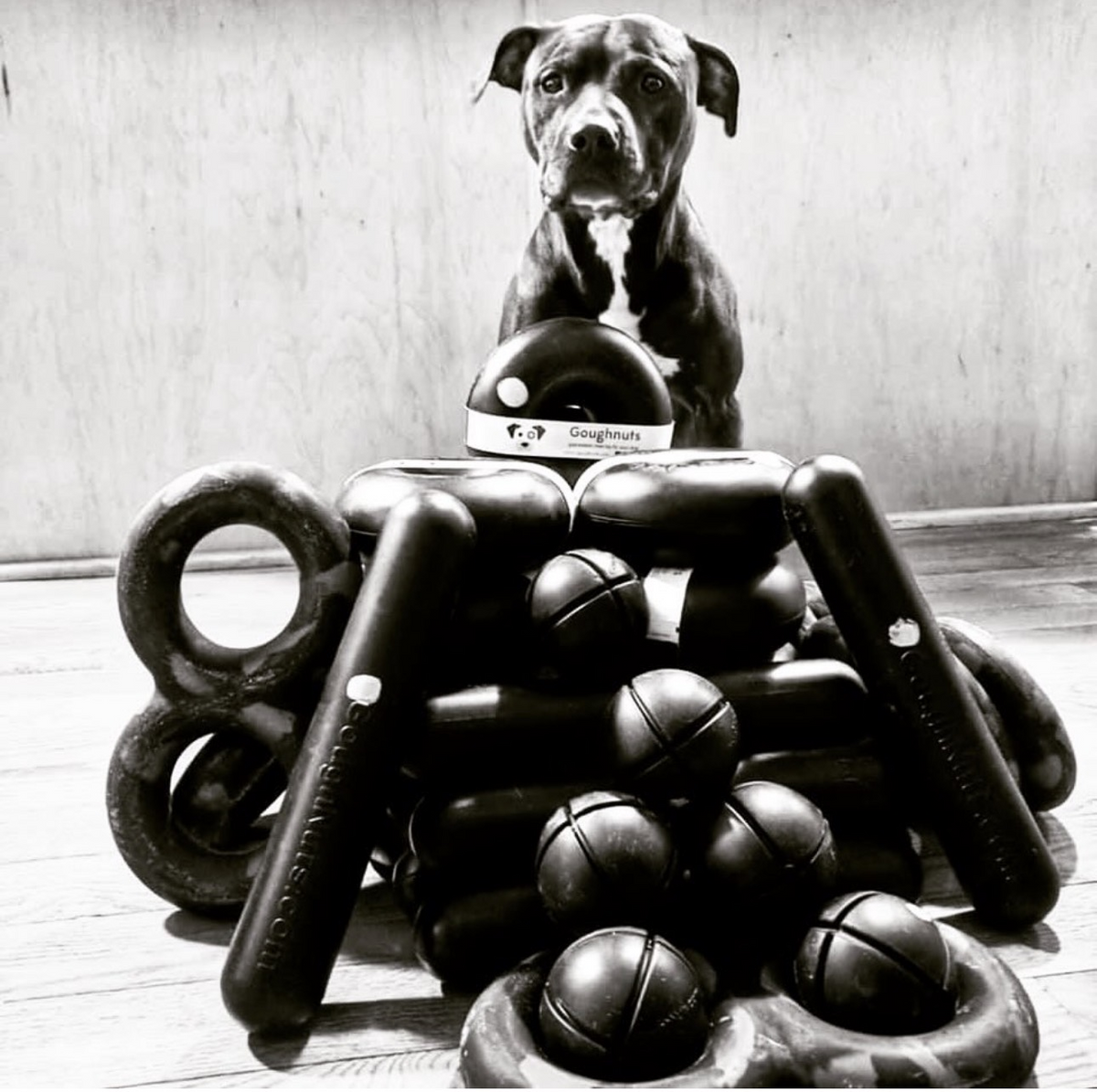 Indestructible Dog Toys | Goughnuts