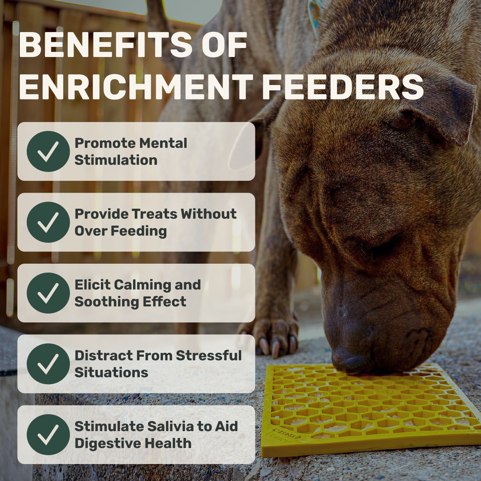 Dog interacting with a yellow enrichment feeder with text listing benefits of enrichment feeders.