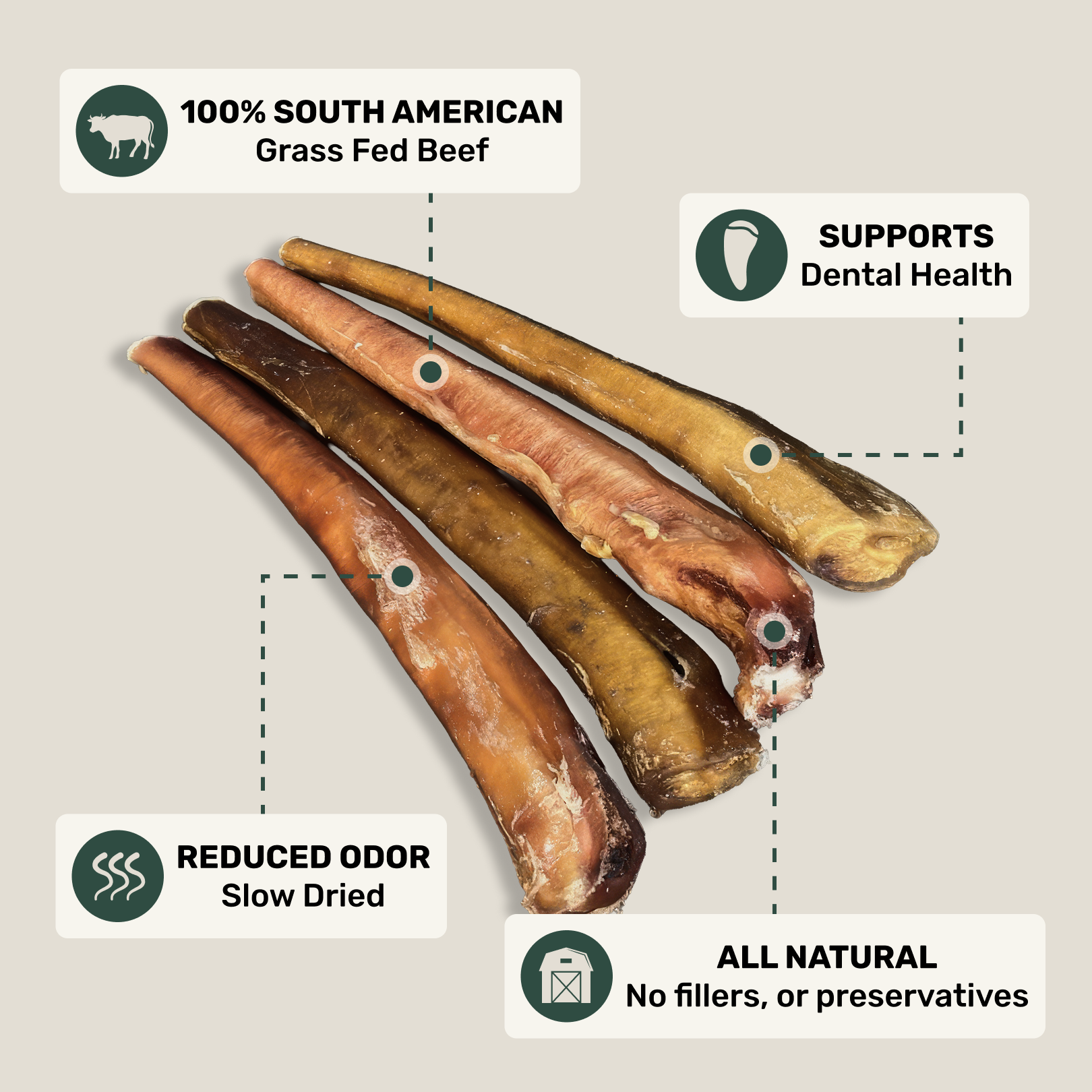 12” bully beef sticks with health benefits text on a beige background