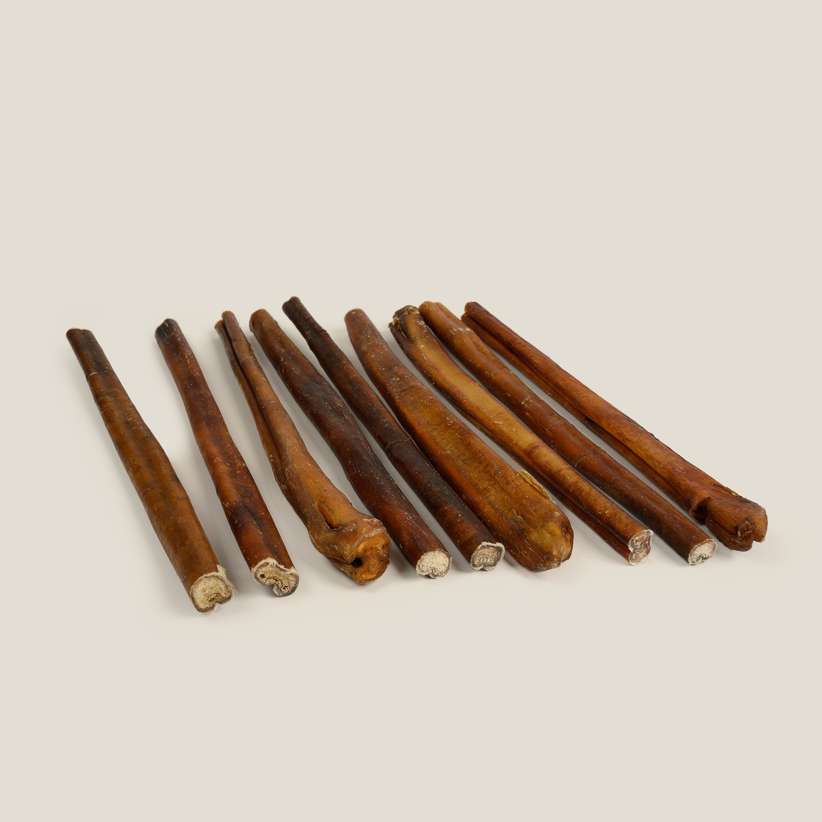 Gargantuan 12” Bully Stick for Power Chewers – Extra-Thick, Low-Odor