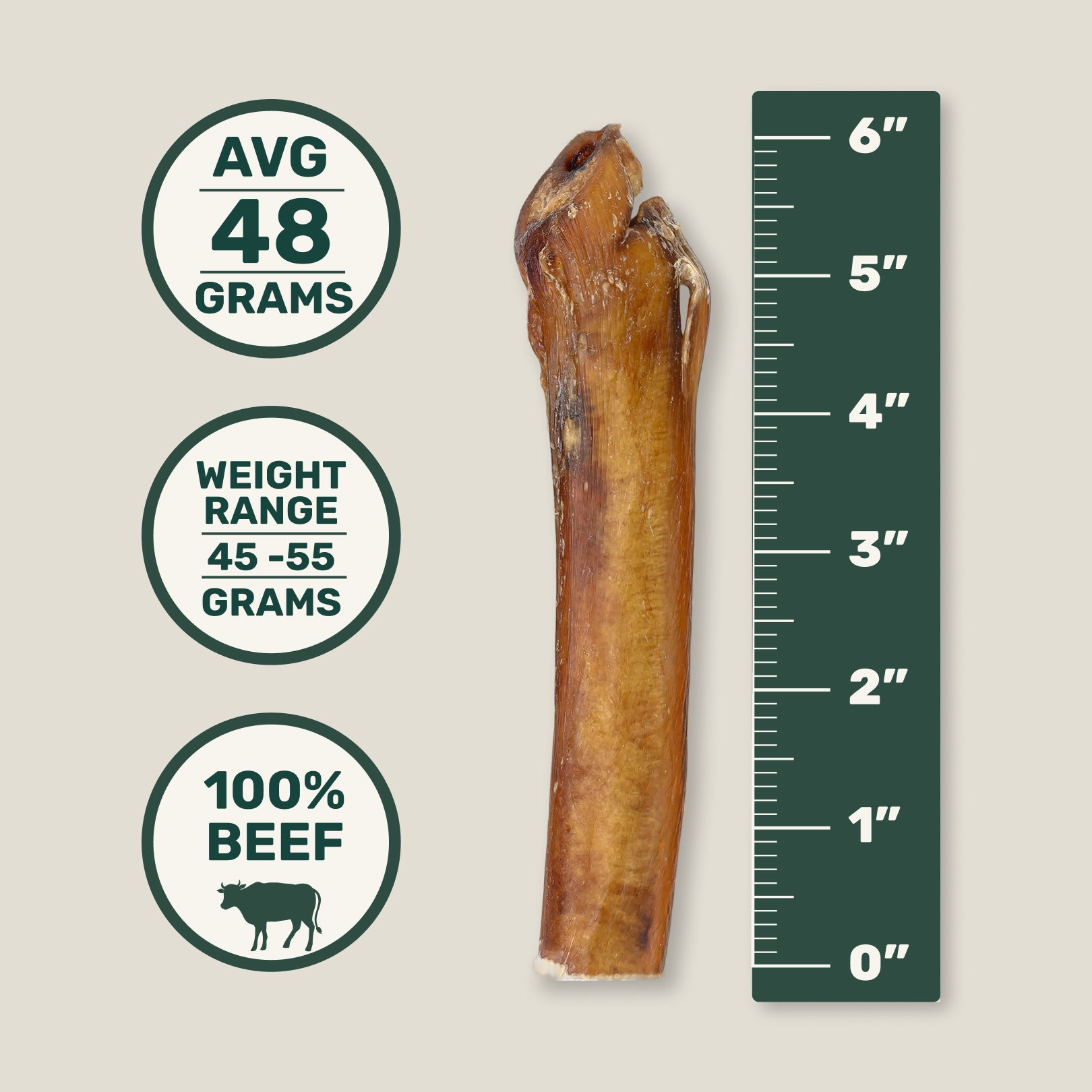 Dog 6” bully stick chew with measurements and labels on a beige background