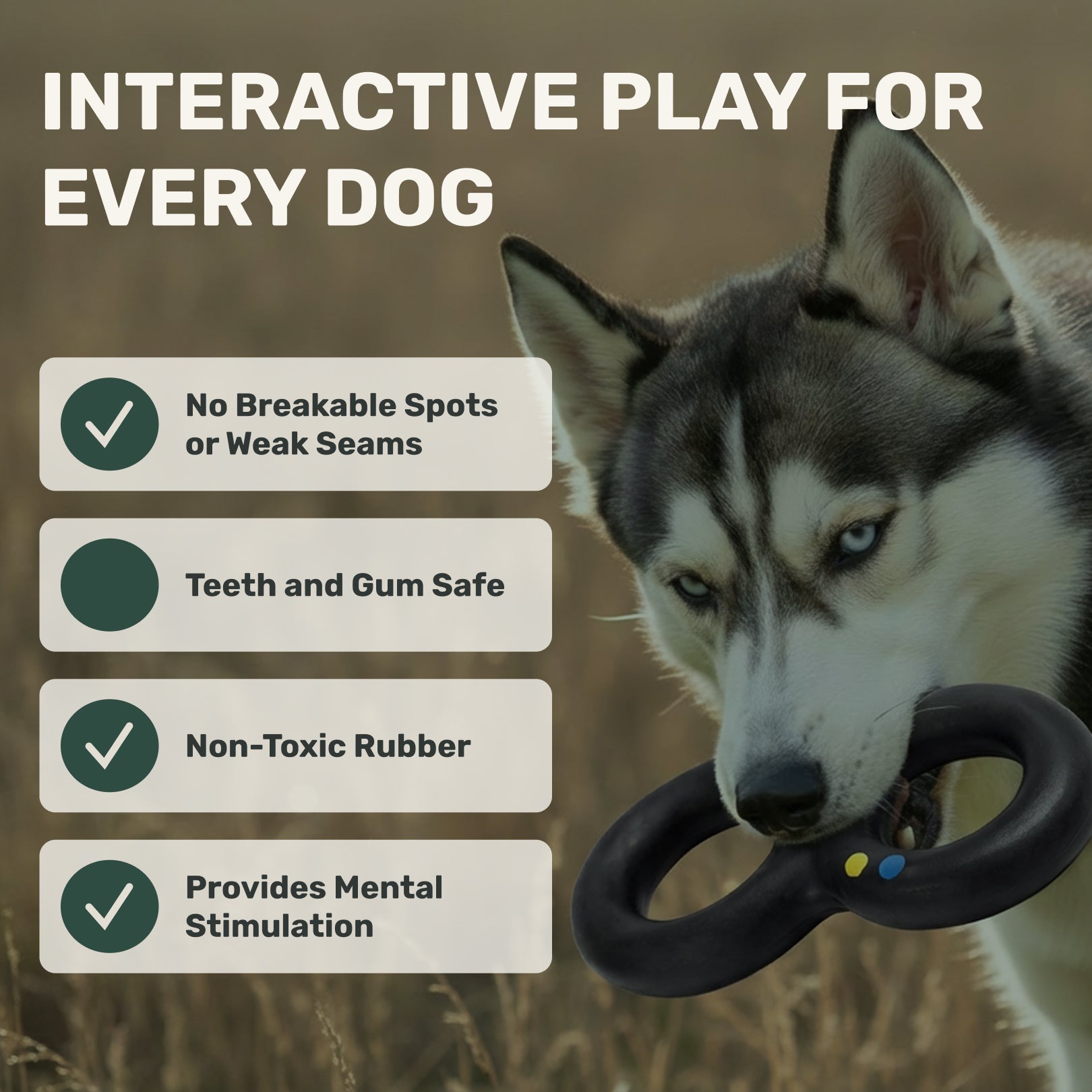 Dog holding a black rubber toy with text about interactive play for dogs.