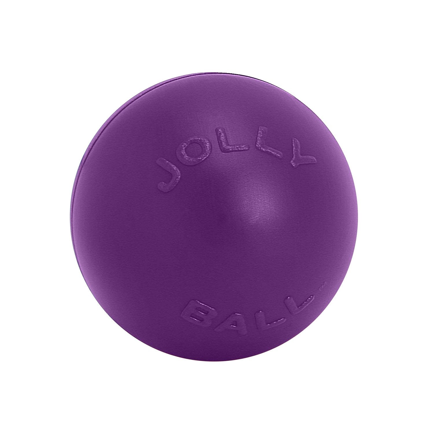 Jolly Push-n-Play Dog Ball