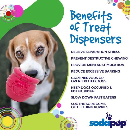 SodaPup XL Honey Pot eCup® Treat Dispensing Toy for Power Chewers