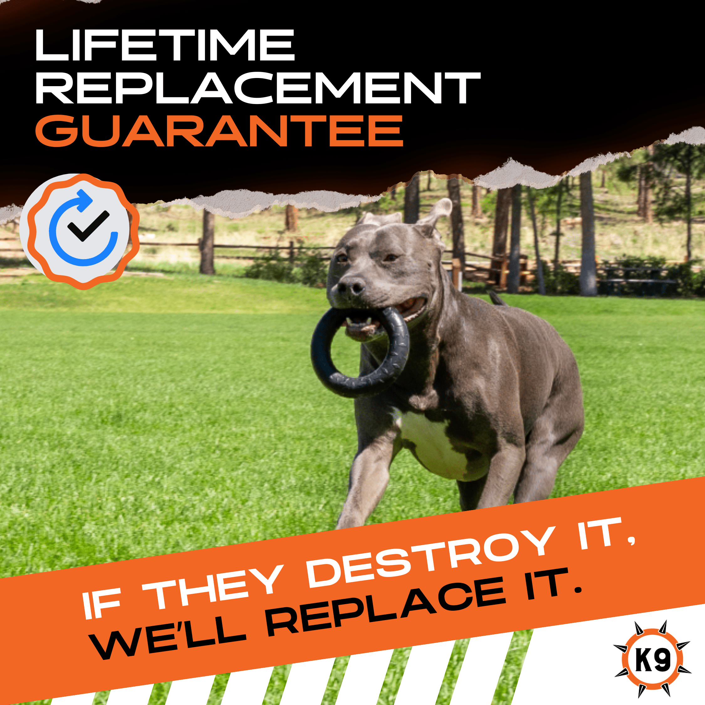 Monster K9 Chew Ring – Built for Power Chewers