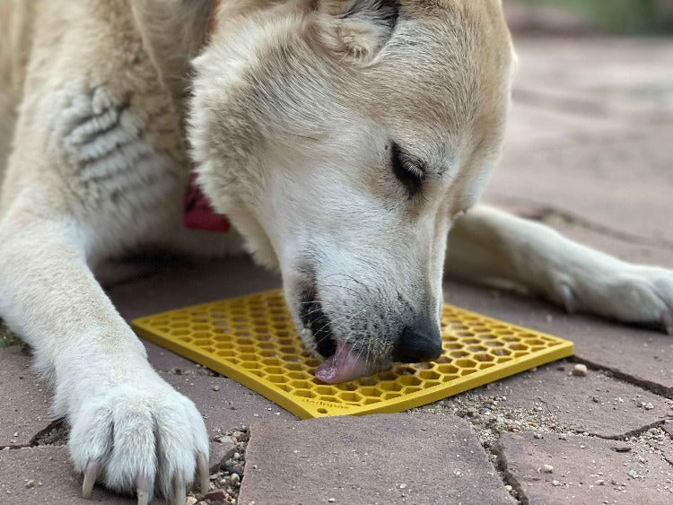 SodaPup Honeycomb eMat® Lick Mat & Slow Feeder for Dogs