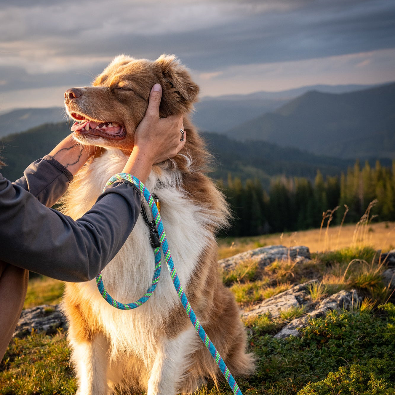 Customizable Boulder Hybrid Rope Dog Leash | Swiveling Carabiner | Tuenne
