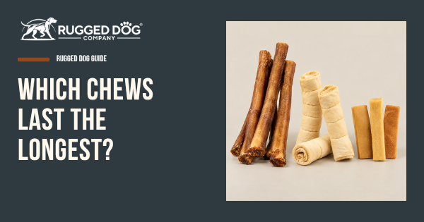 Rugged Dog Company guide comparing longest-lasting bully sticks, beef cheek rolls, and yak chews
