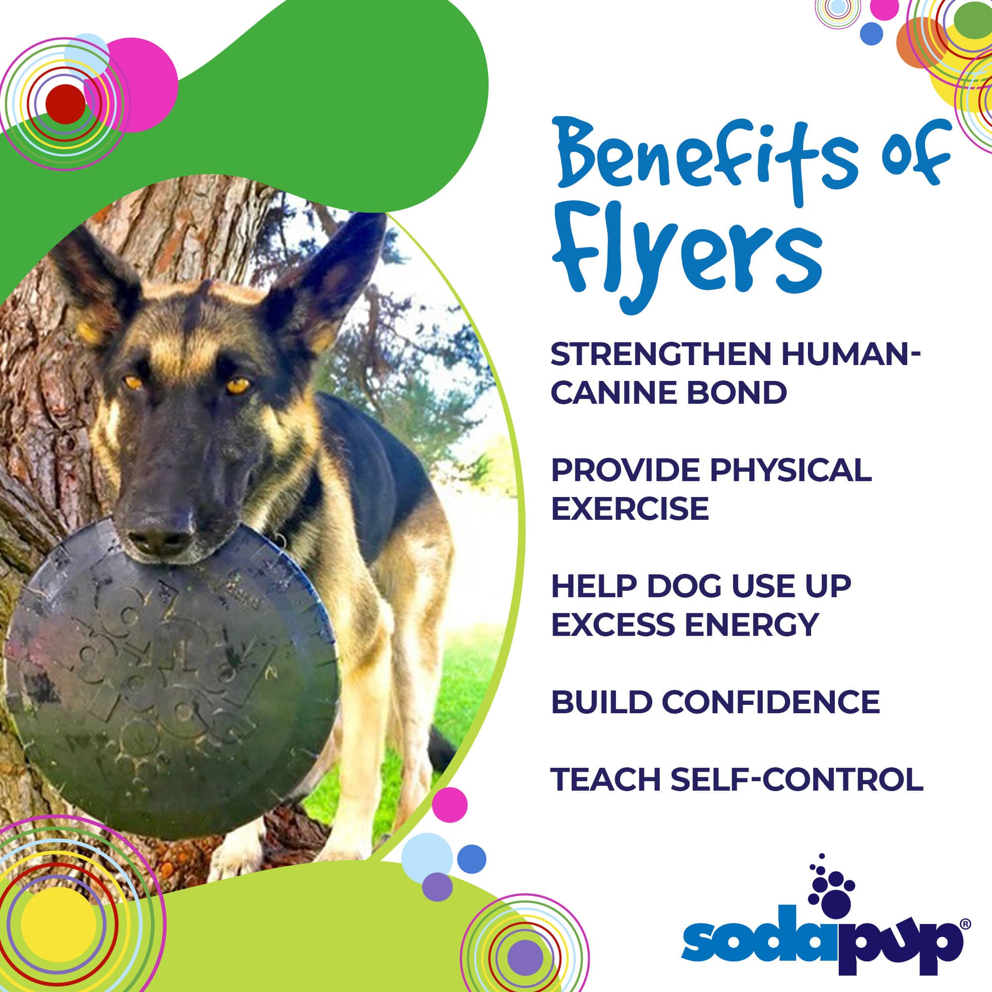 Magnum Bottle Top Flyer Rubber Frisbee Dog Toy for Power Chewers