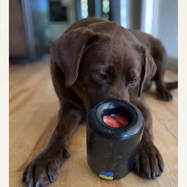 Goughnuts Work-to-Eat® Treat-Dispensing Toy for Power Chewers