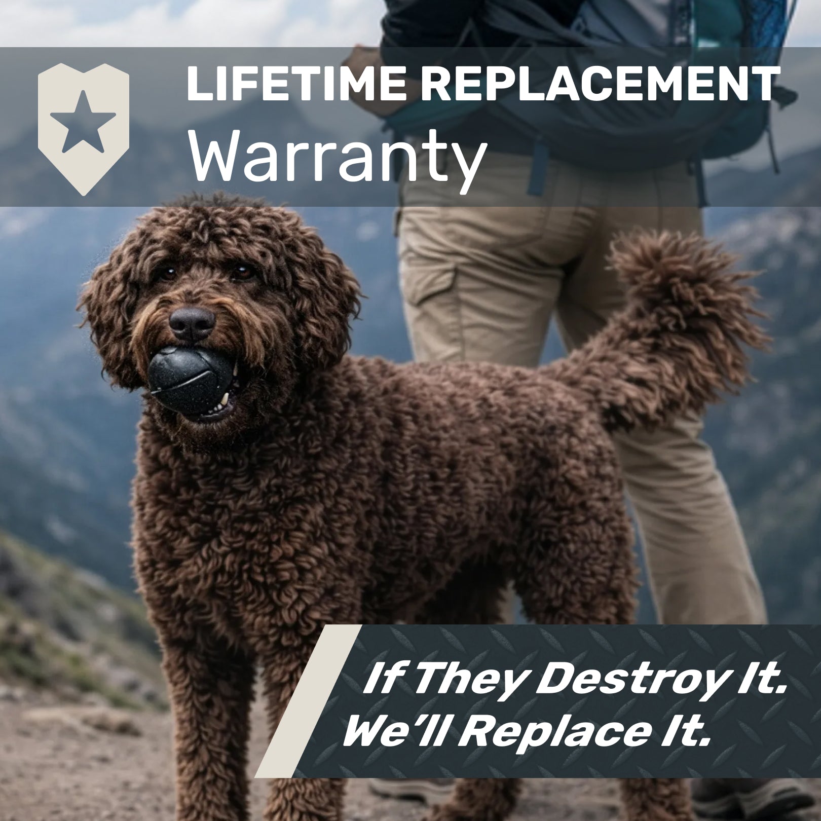 Brown dog standing on a mountain with text about a lifetime replacement warranty.