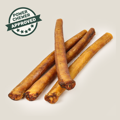 Gargantuan 12” Bully Stick for Power Chewers – Extra-Thick, Low-Odor