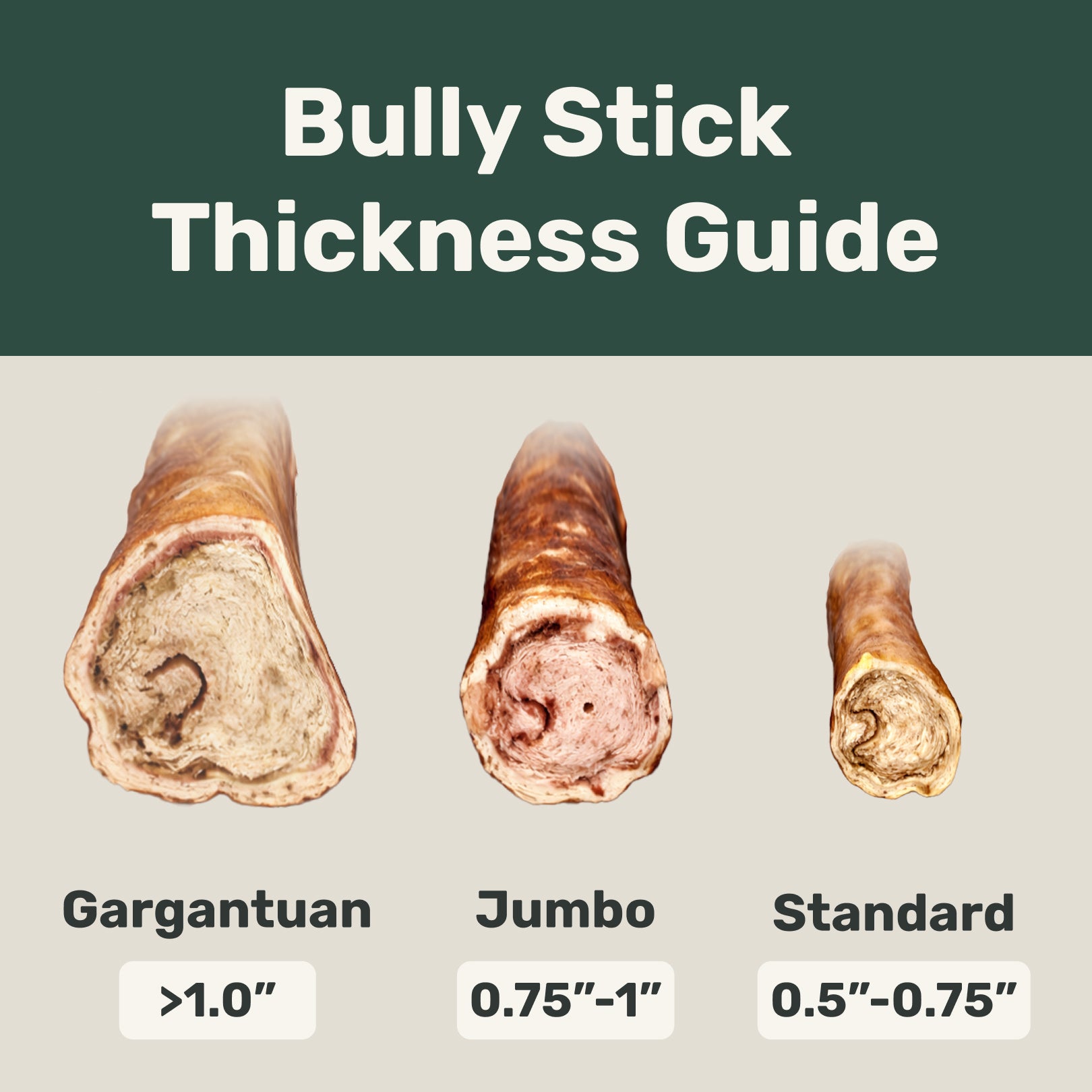 Bully stick thickness guide with three sizes labeled: Gargantuan, Jumbo, and Standard.