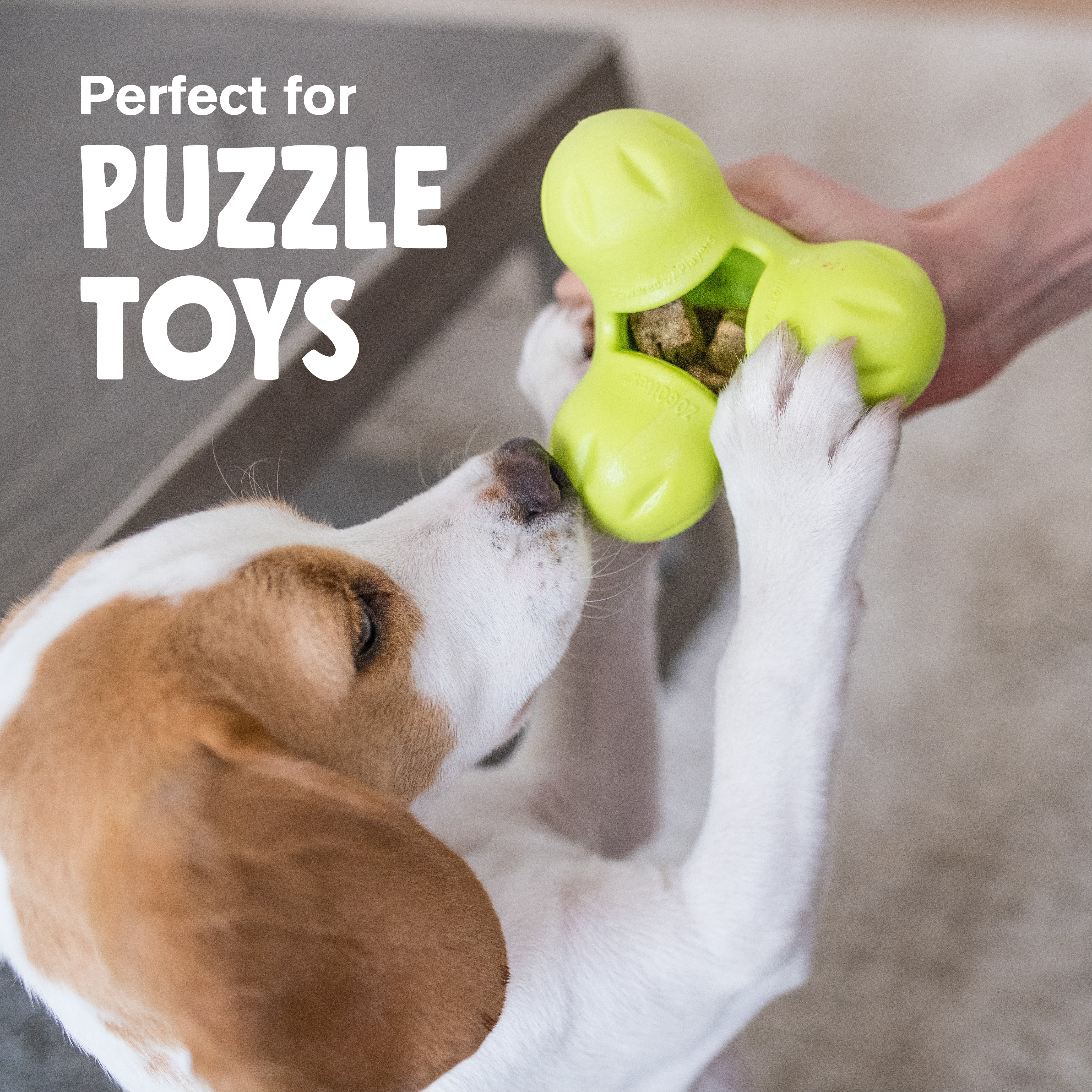 Freeze-Dried Beef Heart Dog Treats