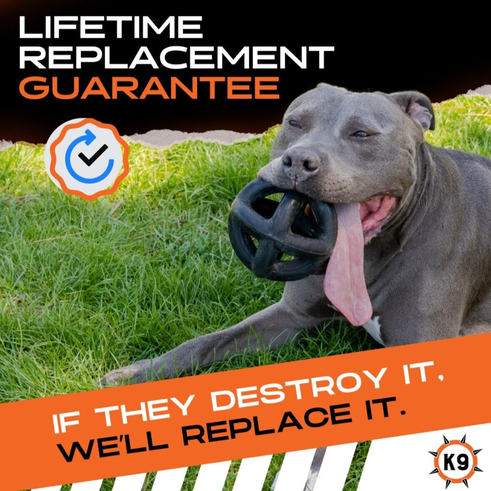 Monster K9 Power Chewer Duo (Ring Ball + Stick)