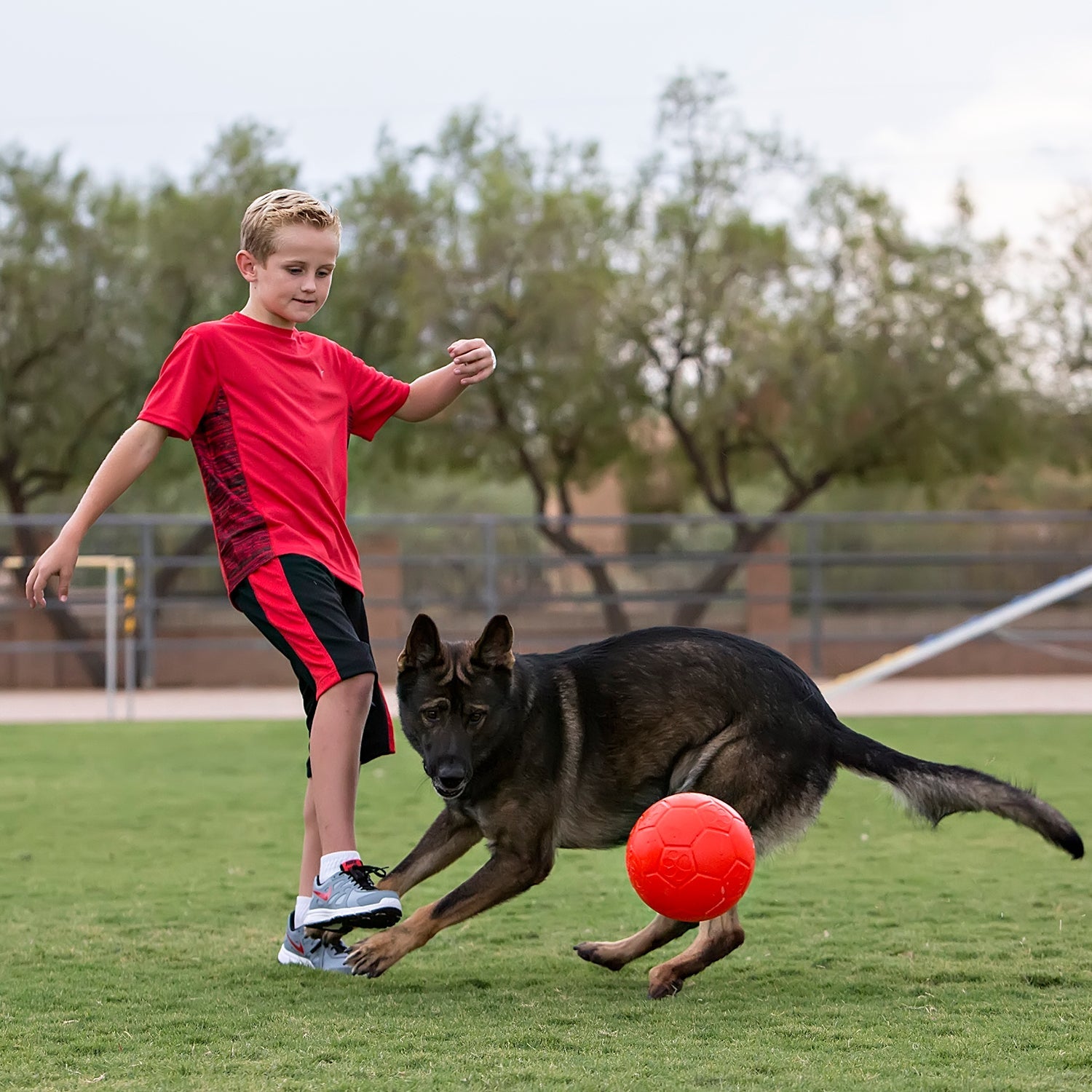 Jolly Soccer Ball Fetch & Bounce Dog Toy