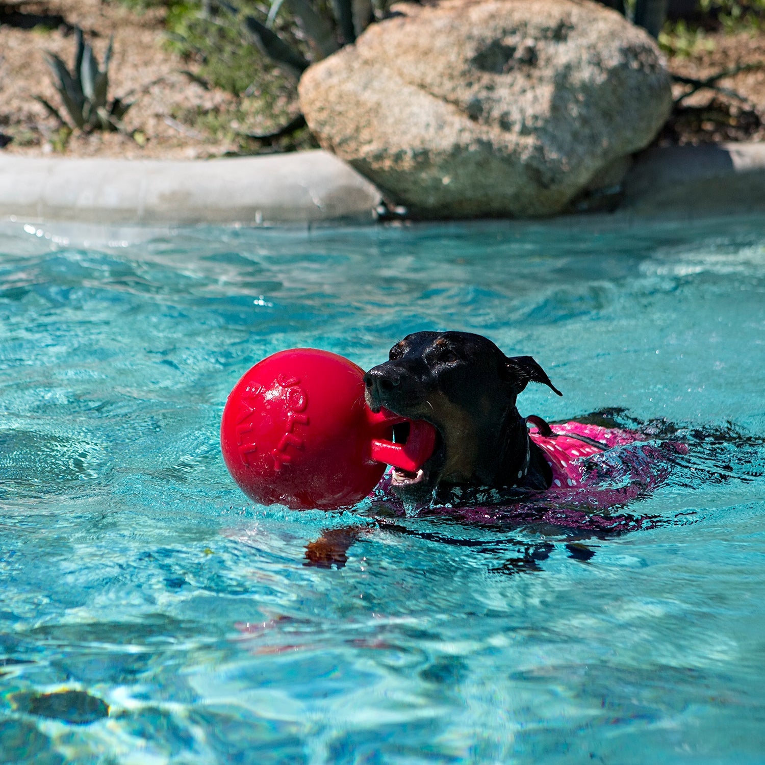 Tug-n-Toss Fetch & Tug Dog Toy