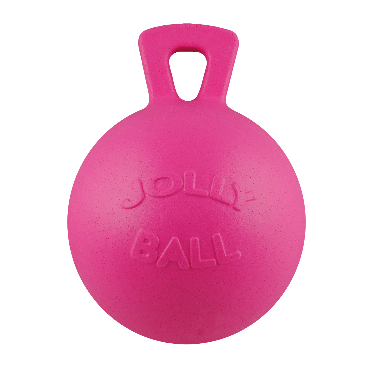 Tug-n-Toss Fetch & Tug Dog Toy