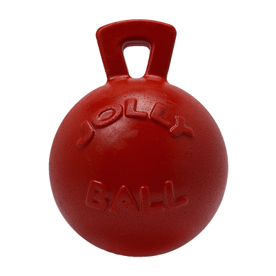 Tug-n-Toss Fetch & Tug Dog Toy