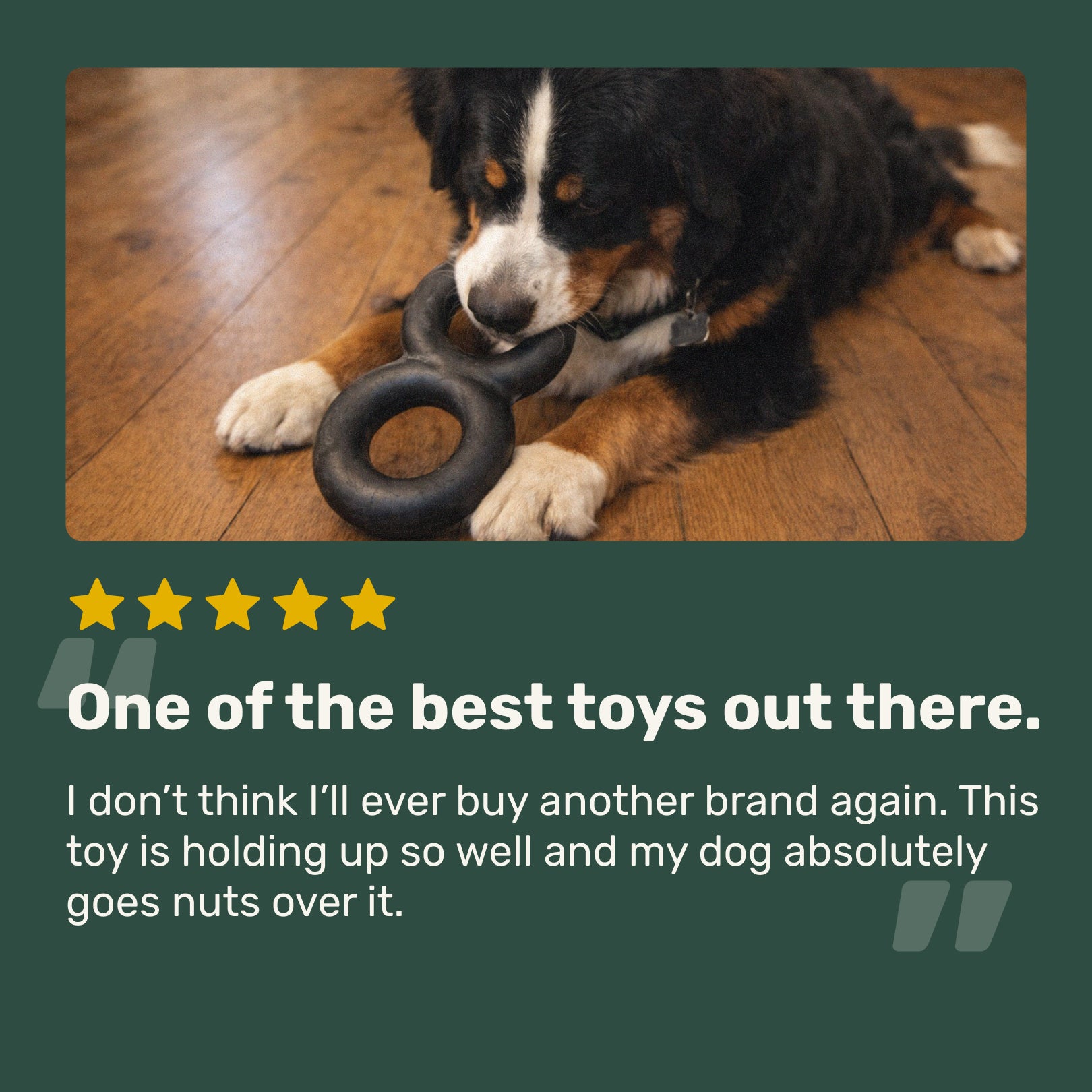 Dog playing with a toy on a wooden floor, with a five-star rating and positive review text.
