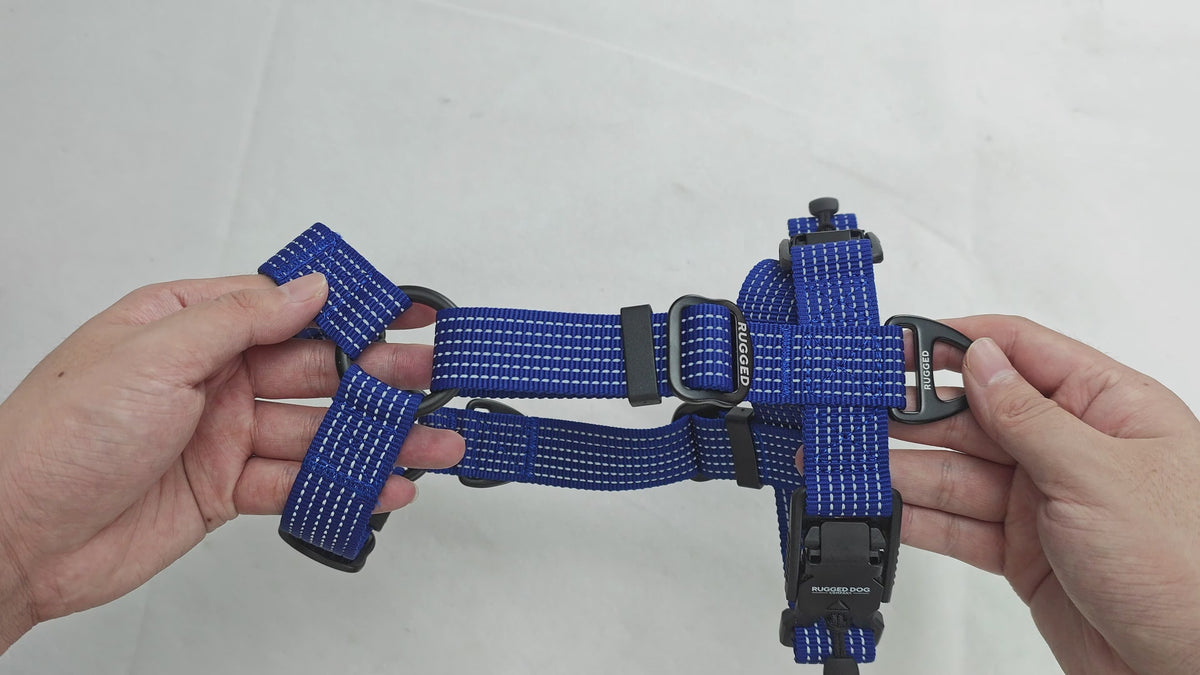 Feature demonstration of the Navy Rugged Dog Company no-pull dog harness showing dual magnetic FIDLOCK V-Buckles, high-visibility reflective polyester webbing, aircraft-grade aluminum front and back D-rings, and Rugged-branded metal adjustment sliders