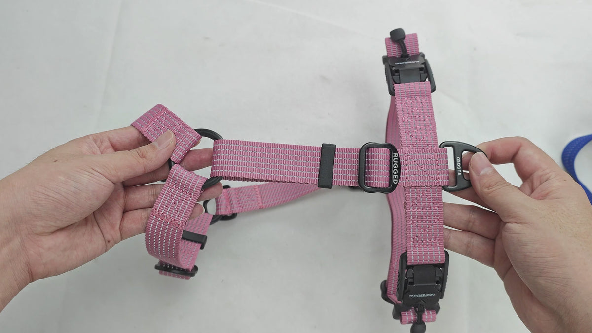Feature demonstration of the Dusty Rose Rugged Dog Company no-pull dog harness showing dual magnetic FIDLOCK V-Buckles, high-visibility reflective polyester webbing, aircraft-grade aluminum front and back D-rings, adjustable sternum strap and Rugged-branded metal adjustment sliders