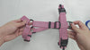 Feature demonstration of the Dusty Rose Rugged Dog Company no-pull dog harness showing dual magnetic FIDLOCK V-Buckles, high-visibility reflective polyester webbing, aircraft-grade aluminum front and back D-rings, adjustable sternum strap and Rugged-branded metal adjustment sliders