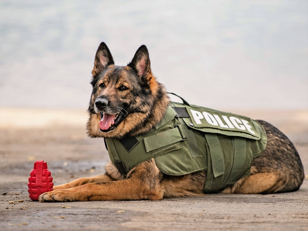 SodaPup Grenade Treat-Dispensing Dog Toy for Power Chewers