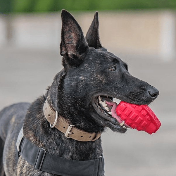 SodaPup Grenade Treat-Dispensing Dog Toy for Power Chewers