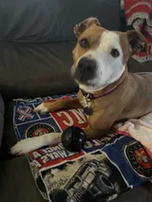 Customer photo accompanying Deanna's review of the Power Play Kit.