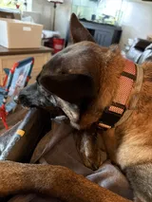 Customer photo accompanying Jason's review of the Goughnuts Large HD Stick.
